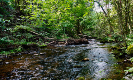 Eau et Biodiversité