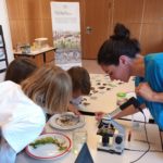 Festival des Sciences Evian 2022 – Atelier découverte des invertébrés aquatiques