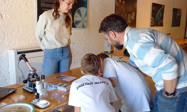 Exposition “Invisibles, boire la tasse”