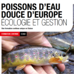 Certificate of Advanced Studies (CAS) : Poissons d’eau douce d’Europe