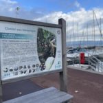 Nouvelle exposition “Le Léman, une ressource à protéger” sur les quais d’Evian