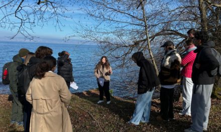 Journée mondiale des zones humides 2026 : Visite guidée des jardins de l’eau du Pré Curieux