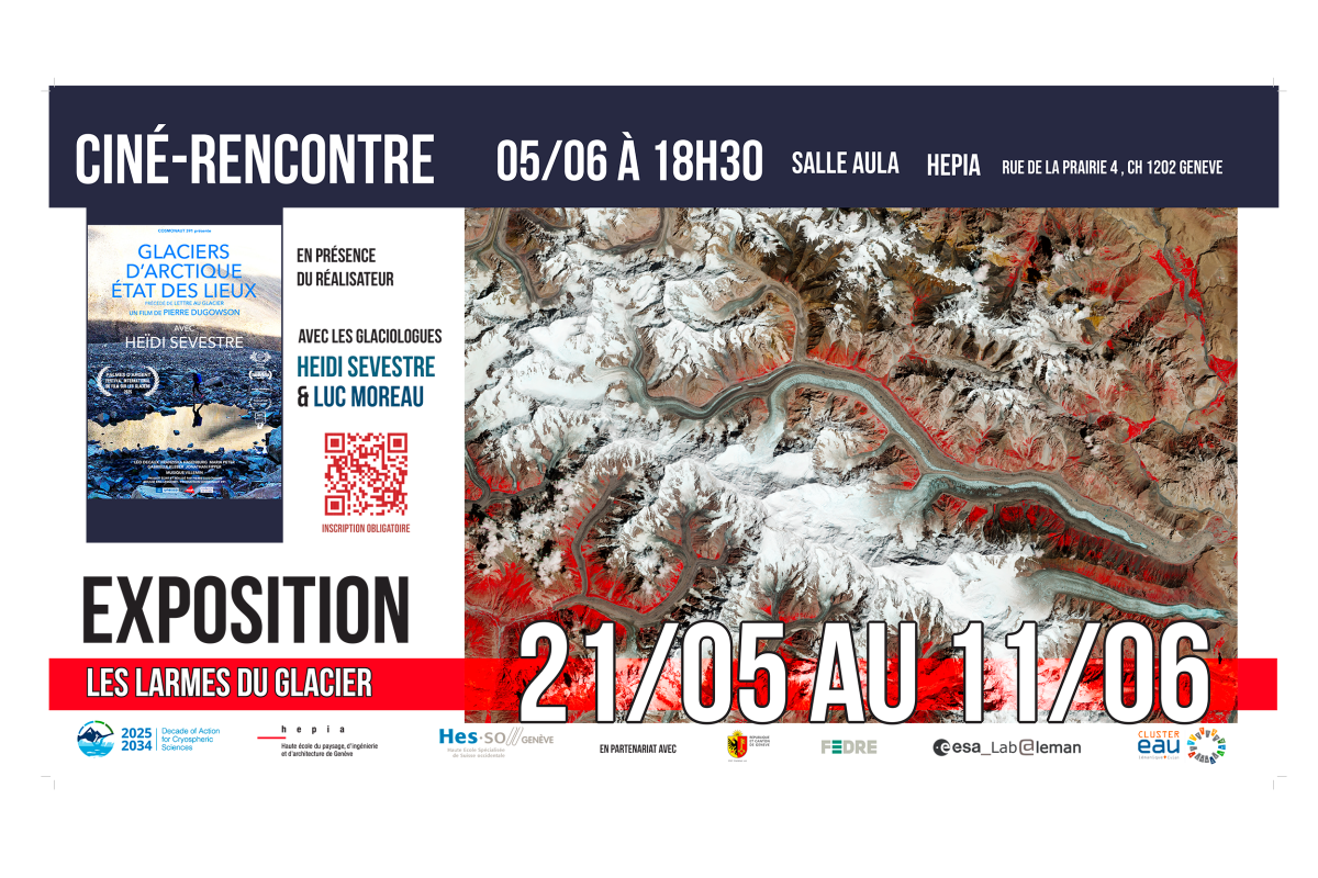 image cine hepia