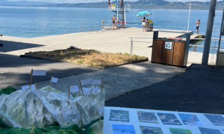 Expositions sur les plages Pavillon Bleu